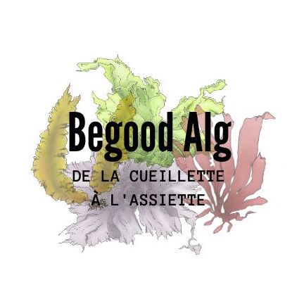 logo Begood Alg - Logo original